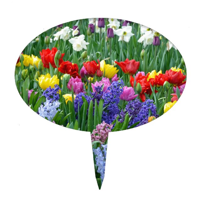 Colorful spring flower garden cake topper (Front)