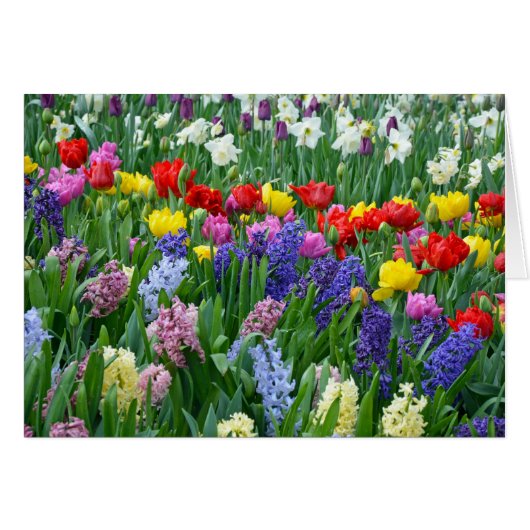 Colorful spring flower garden cards (Front Horizontal)