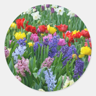Colorful spring flower garden classic round sticker