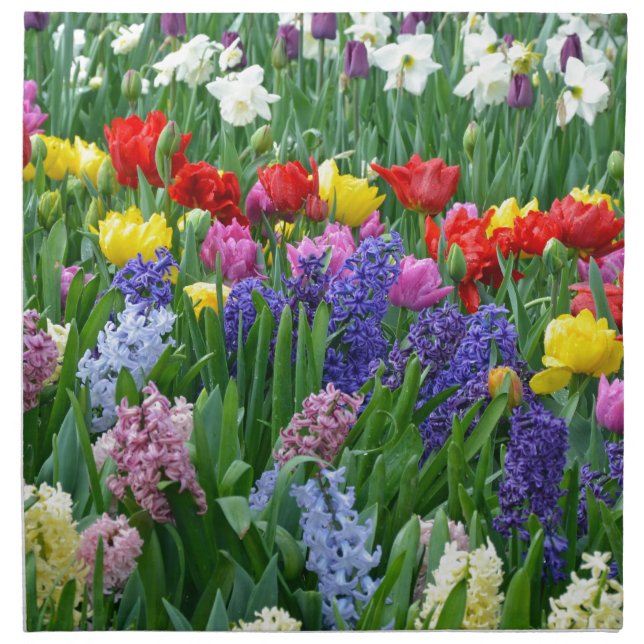Colorful spring flower garden napkin (Front)