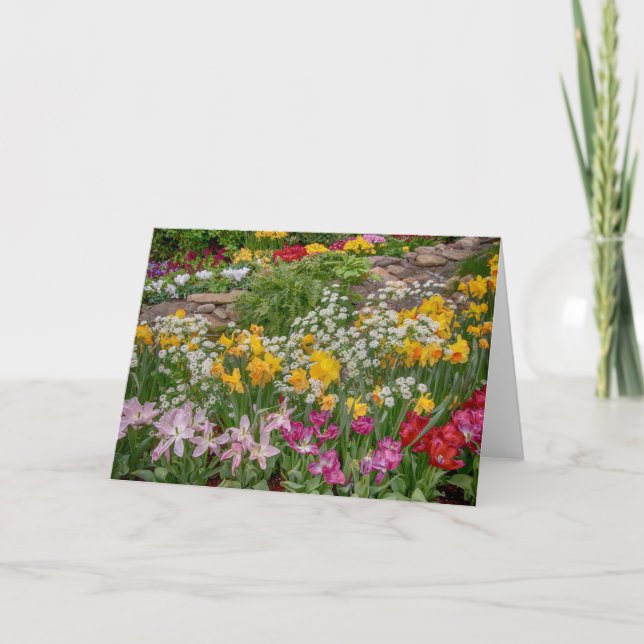 Colorful Spring Flowers in full bloom Card (Front)