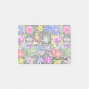 colorful spring - notes pad