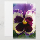 colorful spring Pansy (Front/Back)