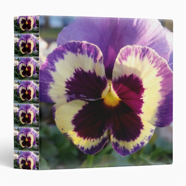 colorful spring Pansy 3 Ring Binder (Front/Spine)