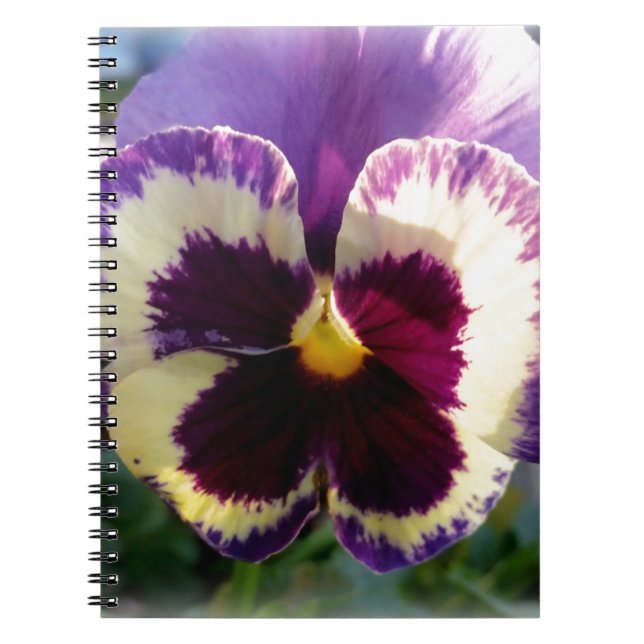colorful spring Pansy Notebook (Front)