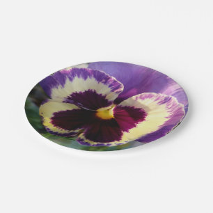 colorful spring Pansy Paper Plates
