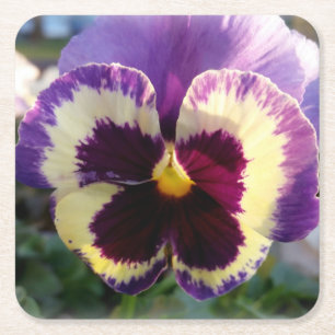 colorful spring Pansy Square Paper Coaster