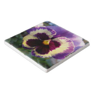 colorful spring Pansy Trivet