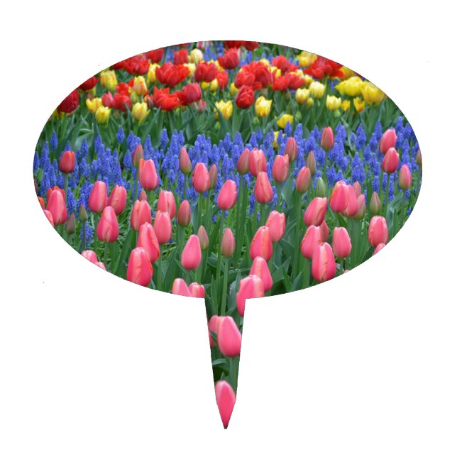 Colorful spring tulip garden cake topper (Front)