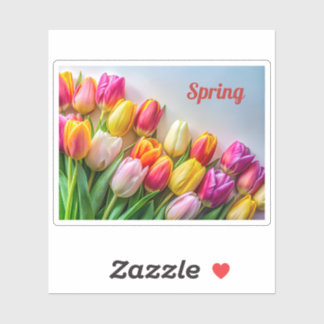 Colorful Spring Tulips Border Floral Nature Sticker