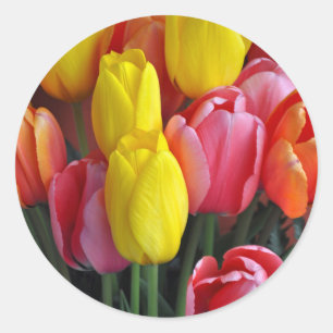 Colorful spring tulips bouquet classic round sticker