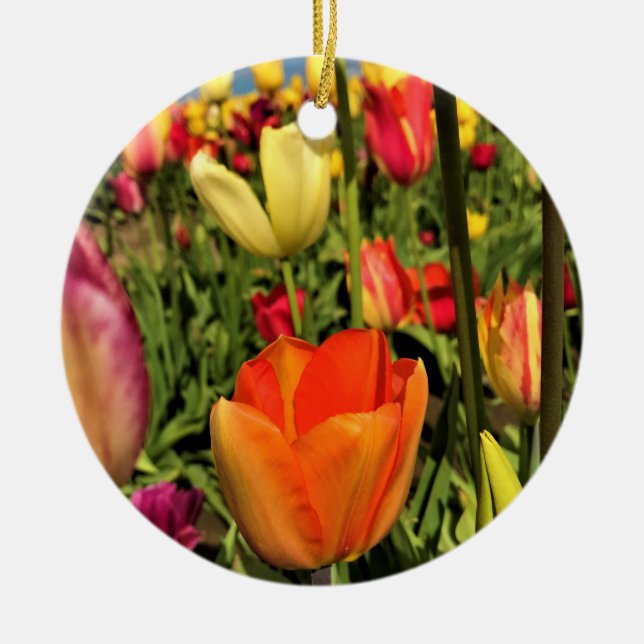 Colorful Spring Tulips Ceramic Ornament (Front)
