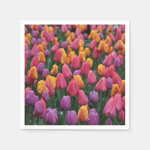 Colorful spring tulips napkins