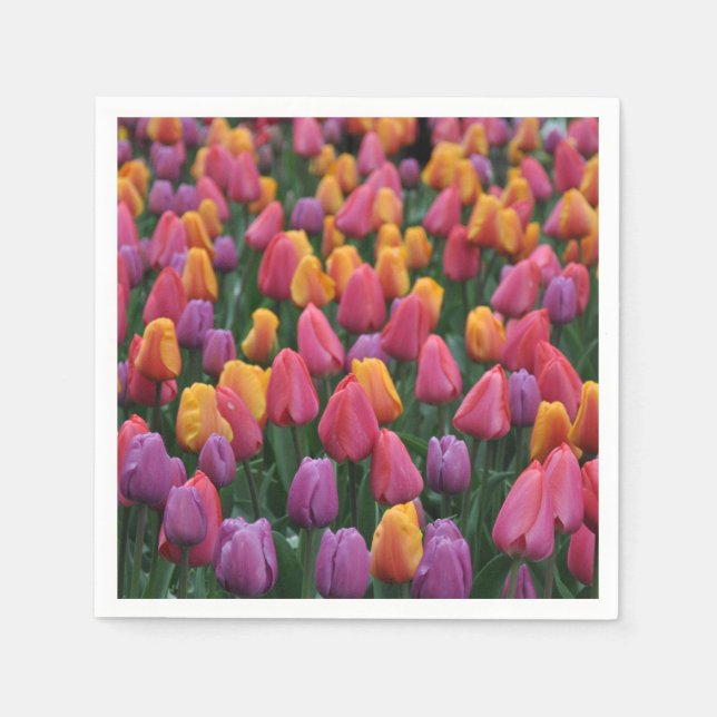 Colorful spring tulips napkins (Front)
