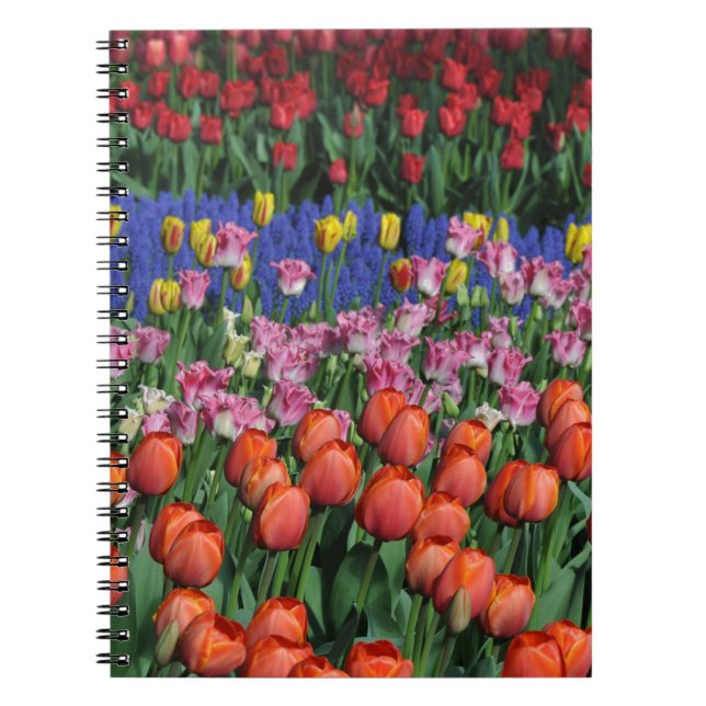 Colorful spring tulips notebook (Front)