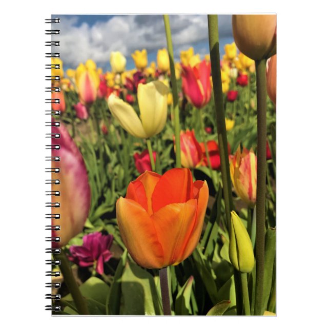 Colorful Spring Tulips Notebook (Front)
