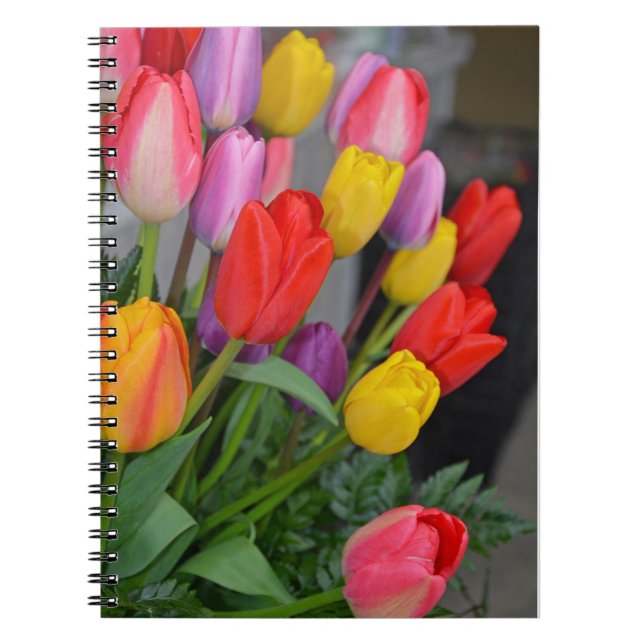 Colorful spring tulips notebook (Front)