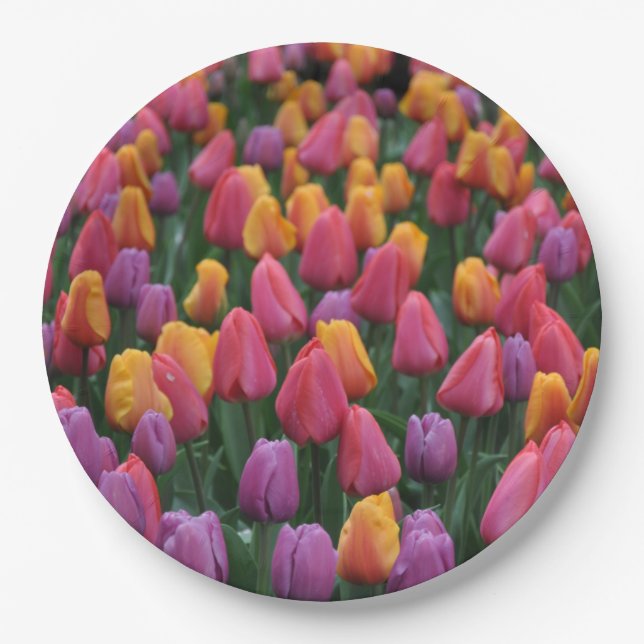 Colorful spring tulips paper plates (Front)