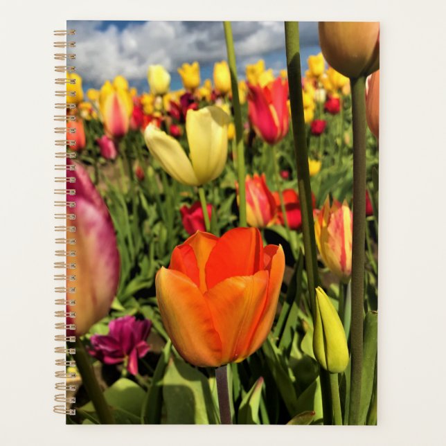 Colorful Spring Tulips Planner (Front)