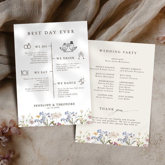 Colorful Spring Wildflower Meadow Garden  Program  (Colorful Spring Wildflower Meadow Garden Program )