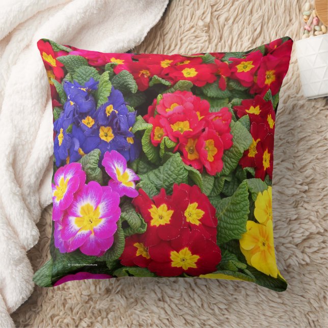 Colorful Springtime Medley of Primulas Throw Pillow (Blanket)