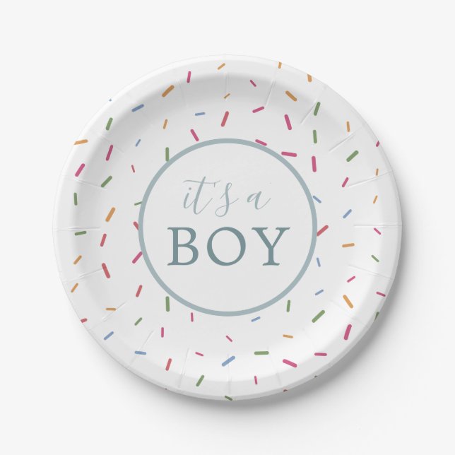 Colorful Sprinkles Baby Sprinkle Baby Shower Paper Paper Plates (Front)