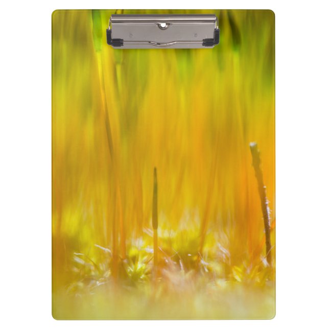 Colorful sprouts clipboard (Front)