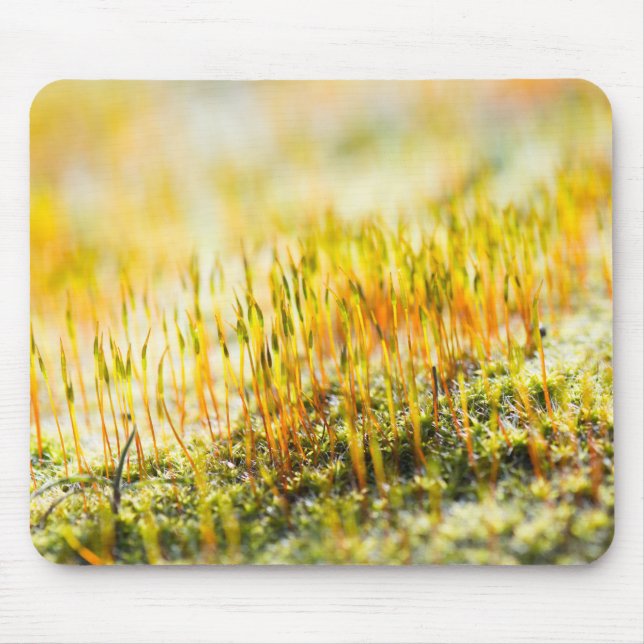 Colorful sprouts mouse pad (Front)