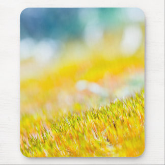 Colorful sprouts mouse pad