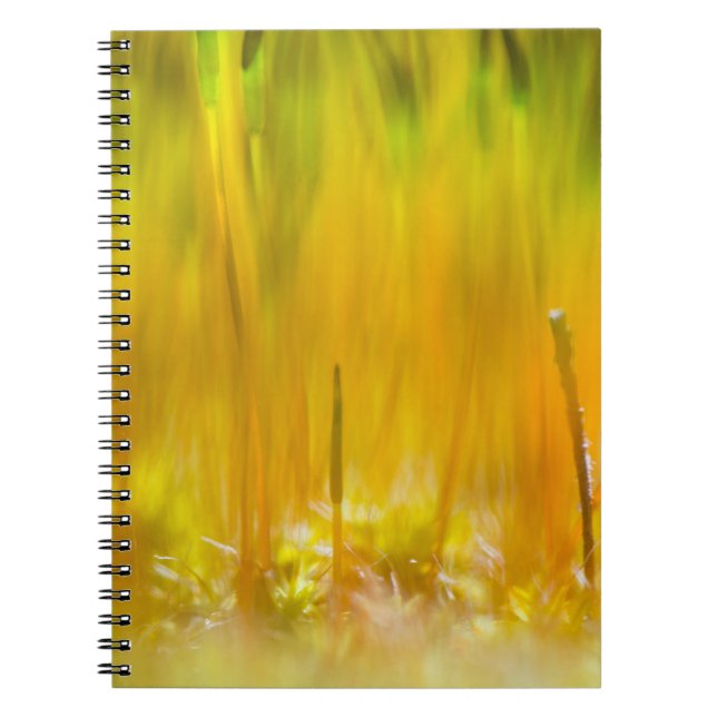 Colorful sprouts notebook (Front)