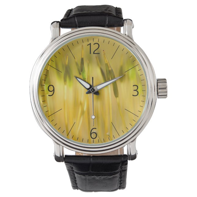 Colorful sprouts watch (Front)
