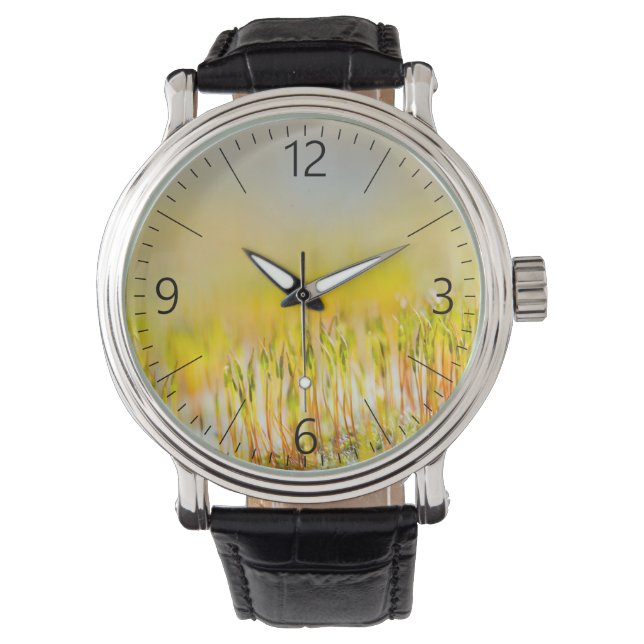 Colorful sprouts watch (Front)