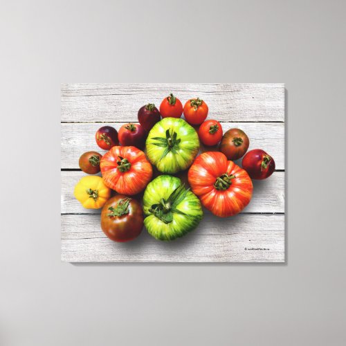 Colorful Striped Tomatoes on Weathered Table Canvas Print