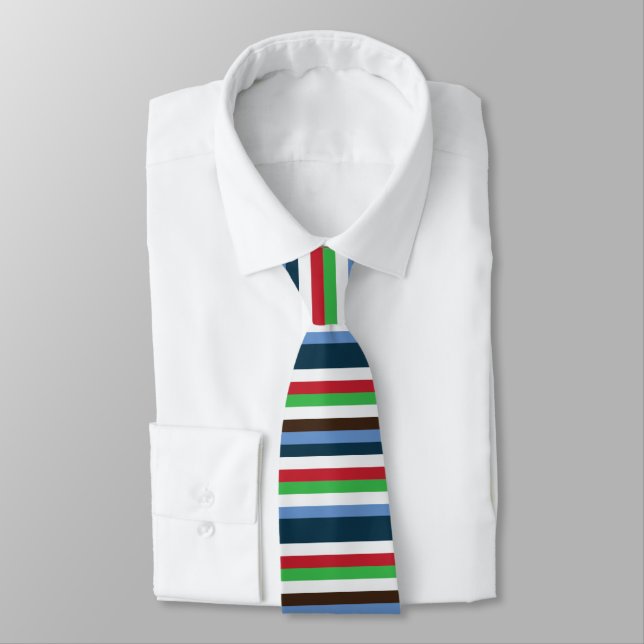 Colorful Stripes  Neck Tie (Tied)
