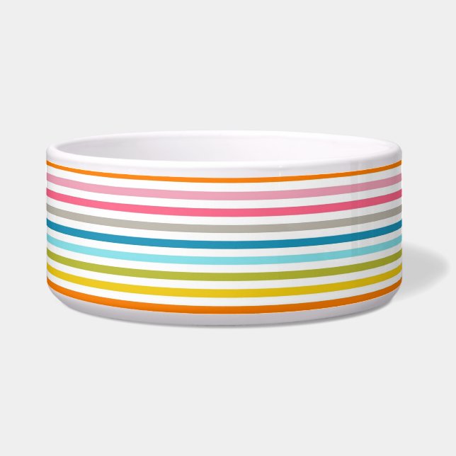 Colorful Stripes Pattern Bowl (Front)