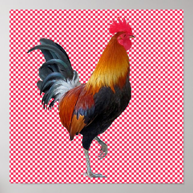Colorful Strutting Rooster Poster (Front)