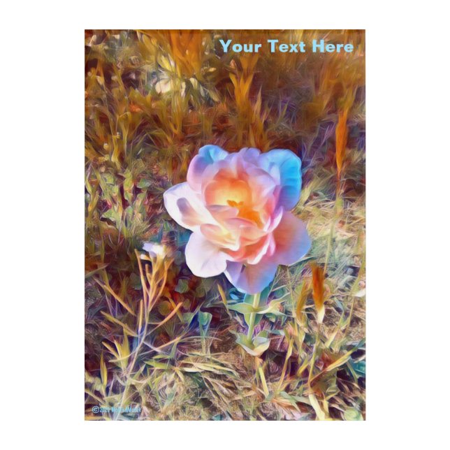 Colorful Stylized Flower Acrylic Print (Front)