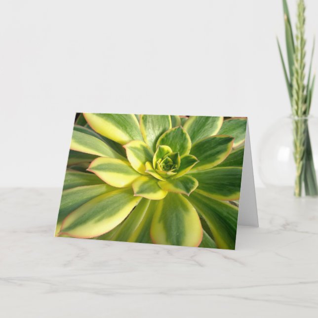 Colorful Succulent #2 Note Card (Front)