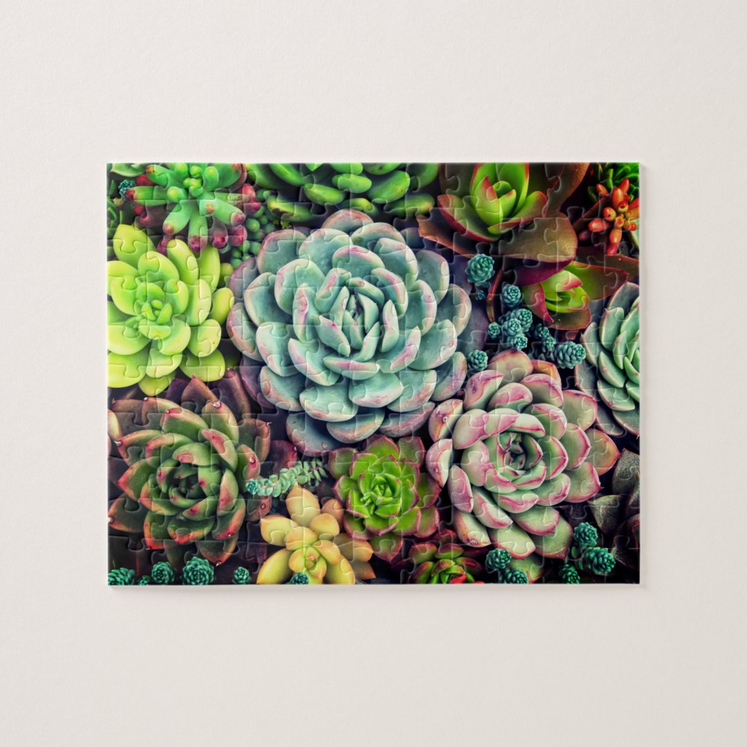 Colorful Succulent arrangement garden Jigsaw Puzzle | Zazzle