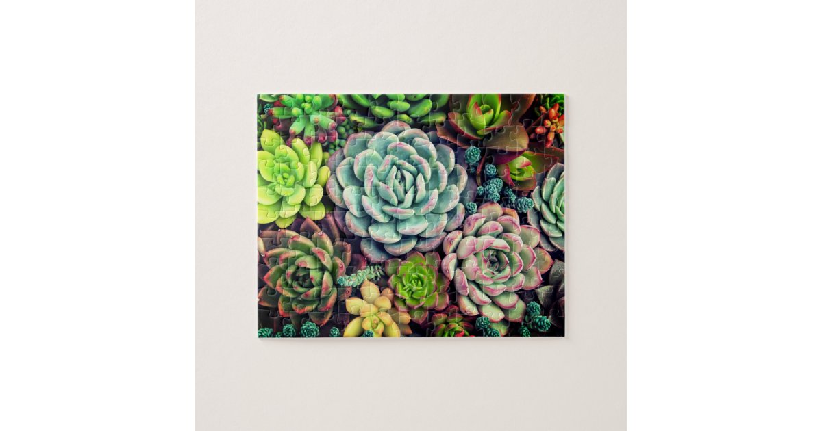 Colorful Succulent arrangement garden Jigsaw Puzzle | Zazzle