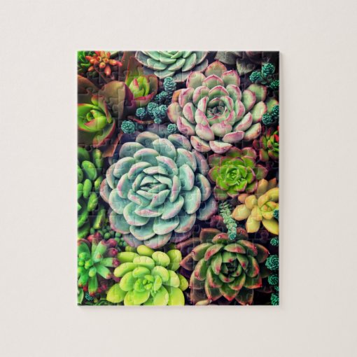 Colorful Succulent Arrangement Garden Jigsaw Puzzle | Zazzle