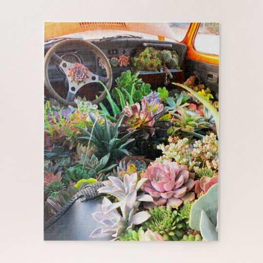 Colorful Succulent Car Puzzle | Zazzle.com