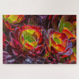 Colorful Succulent Flowers Jigsaw Puzzle