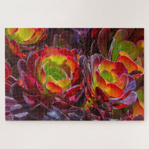Colorful Succulent Flowers  Jigsaw Puzzle