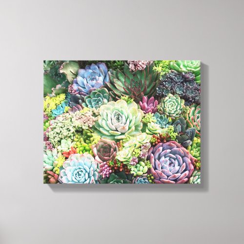 Colorful Succulent Garden Canvas Print