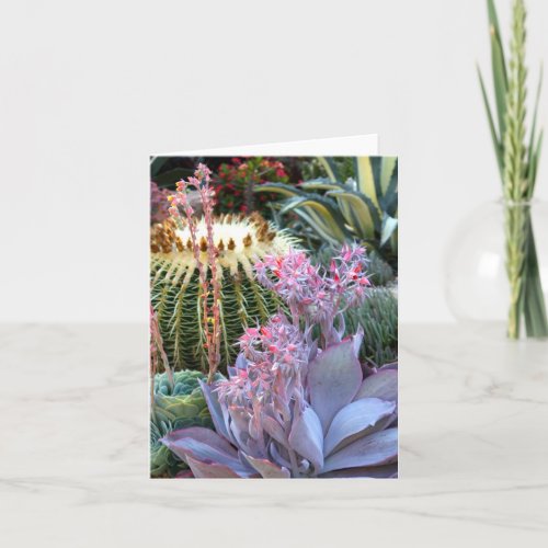 Colorful Succulent Garden Card