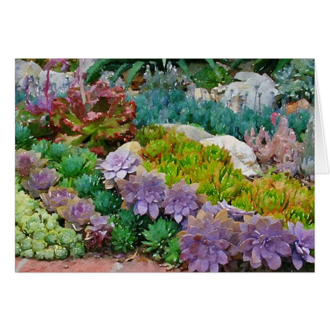 Colorful succulent garden greeting card (Front Horizontal)