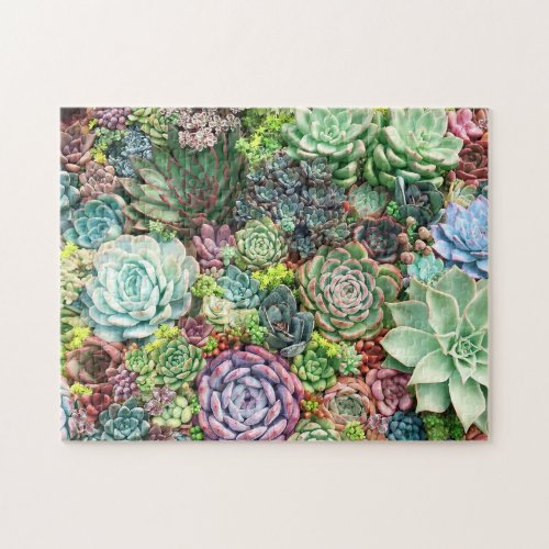 Colorful Succulent Garden Jigsaw Puzzle