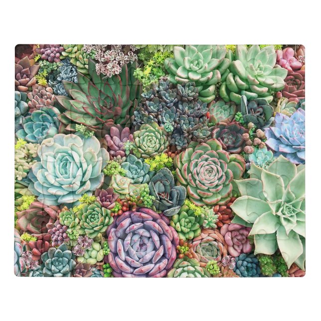 Colorful Succulent Garden Jigsaw Puzzle (Puzzle Horizontal)