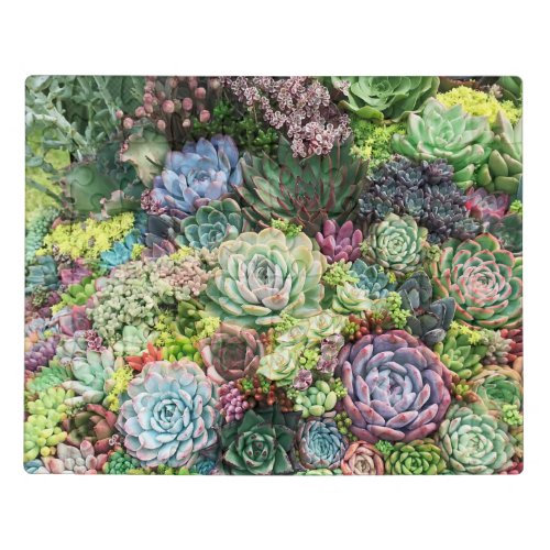 Colorful Succulent Garden Jigsaw Puzzle